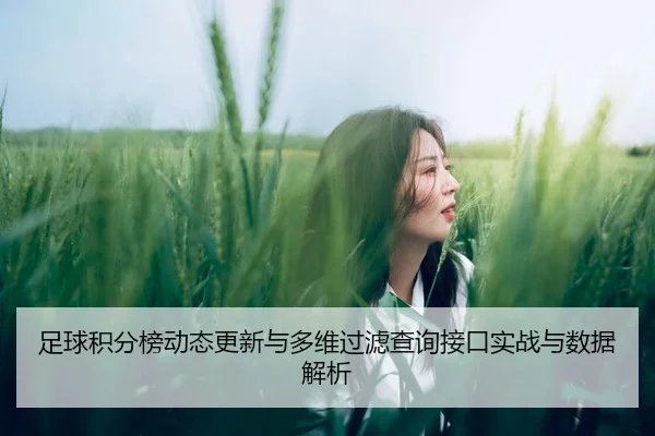 足球积分榜动态更新与多维过滤查询接口实战与数据解析